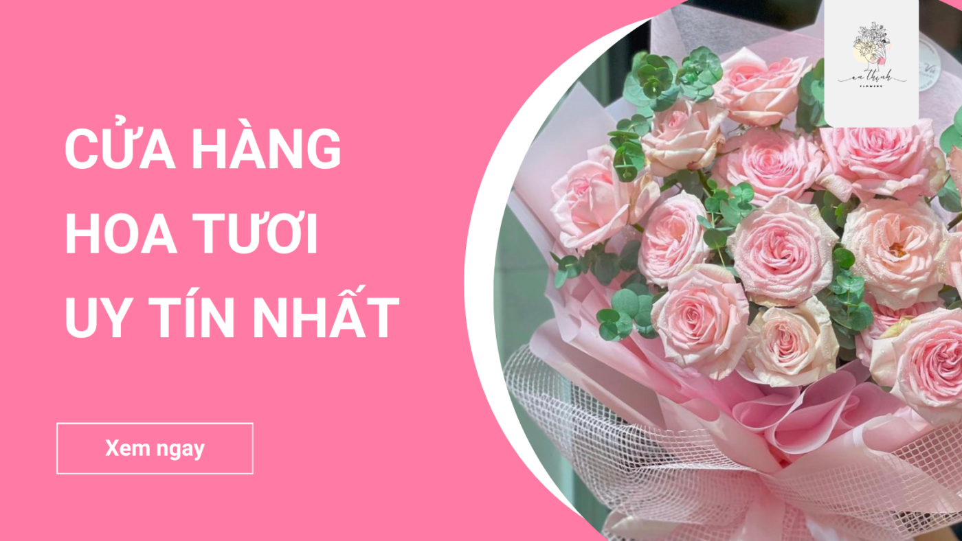 Ý Nghĩa Hoa Hướng Dương - Biểu Tượng Của Tình Yêu Và Hy Vọng Shop Hoa Tươi An Thịnh Ý Nghĩa Hoa Hướng Dương - Biểu Tượng Của Tình Yêu Và Hy Vọng