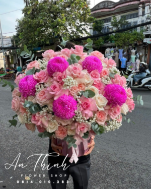 Hoa Cúc Chúc Mừng