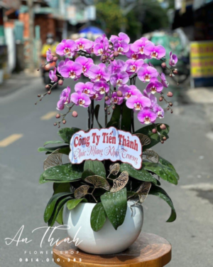 Giỏ hoa lan trắng-HL001
