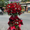 Khởi đầu thành công - HKT012