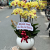 Giỏ lan vàng tặng quà - HL017