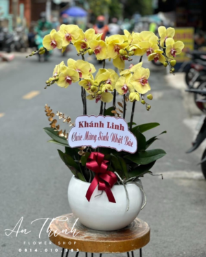 Giỏ lan vàng tặng quà - HL017