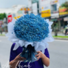 Hoa giỏ mừng sinh nhật - HG002