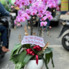 Giỏ lan tím lịm - HL005