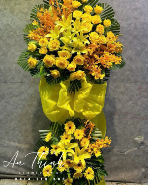 Ươm mầm ước mơ - HKT019