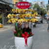 Giỏ lan trắng trang trí - HL006