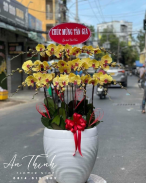 Giỏ lan trắng trang trí - HL006