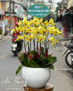Giỏ lan Tím xinh xắn - HL007