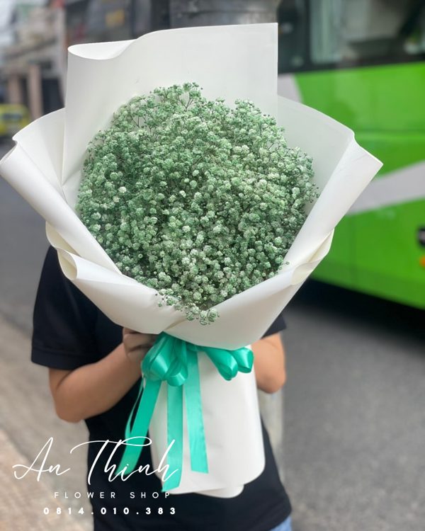 Bó hoa babi đẹp tặng vợ - HB004 Shop Hoa Tươi An Thịnh Bó hoa babi đẹp tặng vợ - HB004