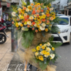 Chức mừng khai trương - HKT052