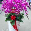 Lan Hồ Điệp - LHĐ30