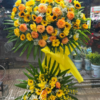 Khởi nghiệp thành công - HKT053
