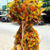Thành đạt - HKT047