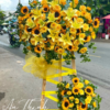 May mắn - HKT045
