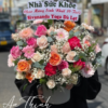 Vì yêu mà đến - HG083