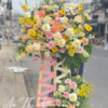 Vững bước - HKT060