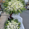 Hoa chia buồn - HN077